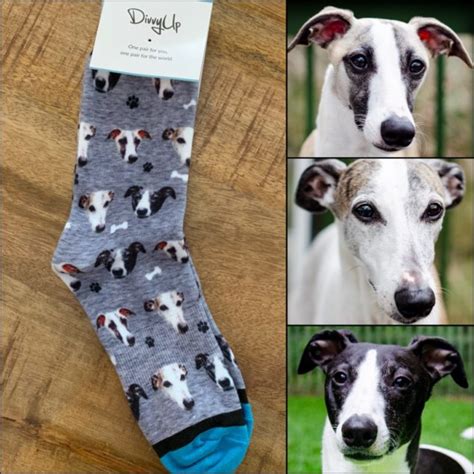 whippets amazon|whippet themed gifts.